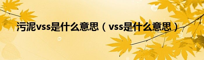 污泥vss是什么意思【vss是什么意思】