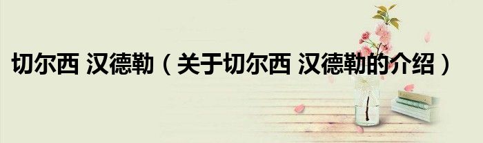 切尔西 汉德勒【关于切尔西 汉德勒的介绍】