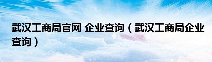 武汉工商局官网 企业查询【武汉工商局企业查询】