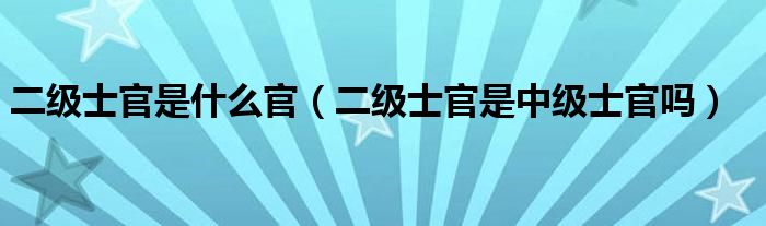 二级士官是什么官【二级士官是中级士官吗】