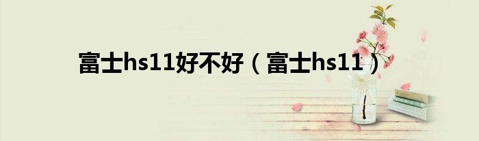 富士hs11好不好【富士hs11】