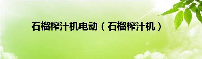 石榴榨汁机电动【石榴榨汁机】