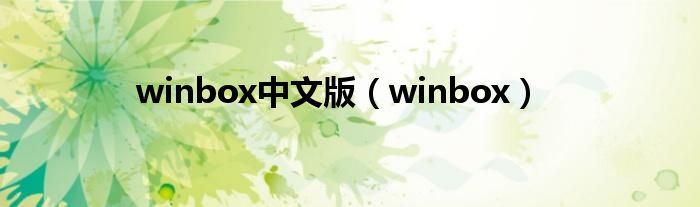 winbox中文版【winbox】