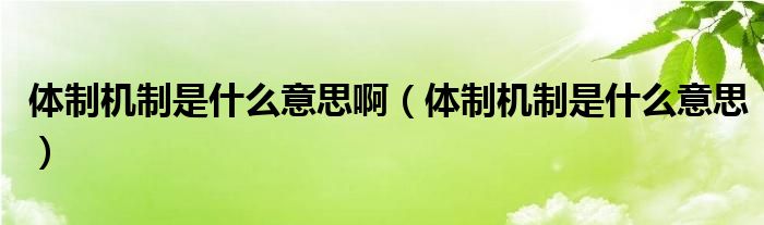 体制机制是什么意思啊【体制机制是什么意思】