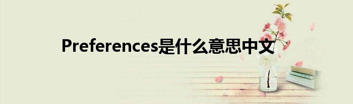 Preferences是什么意思中文