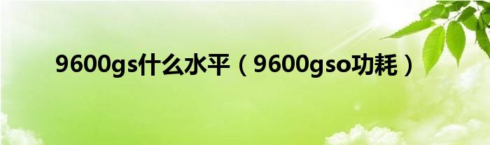 9600gs什么水平【9600gso功耗】