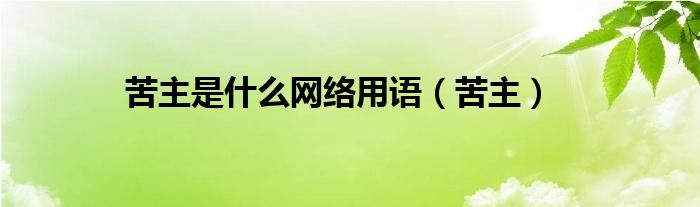 苦主是什么网络用语【苦主】