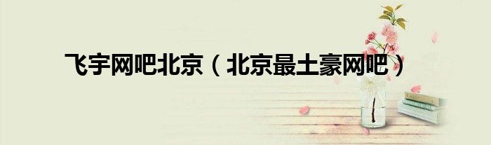 飞宇网吧北京【北京最土豪网吧】