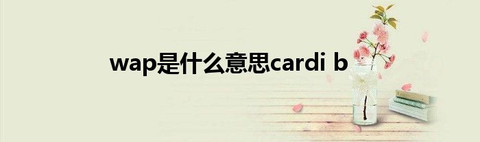 wap是什么意思cardi b