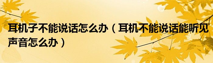 耳机子不能说话怎么办【耳机不能说话能听见声音怎么办】