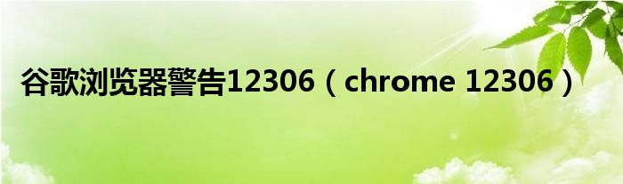 谷歌浏览器警告12306【chrome 12306】