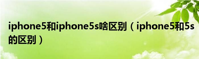 iphone5和iphone5s啥区别【iphone5和5s的区别】