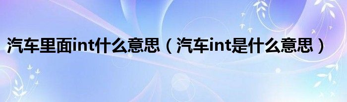 汽车里面int什么意思【汽车int是什么意思】