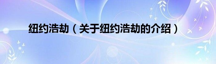 纽约浩劫【关于纽约浩劫的介绍】