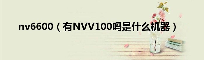 nv6600【有NVV100吗是什么机器】