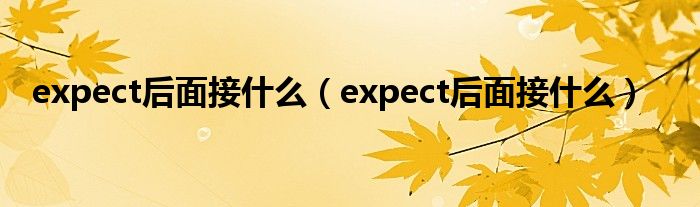 expect后面接什么【expect后面接什么】