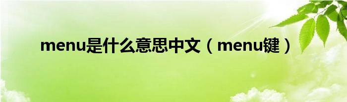 menu是什么意思中文【menu键】