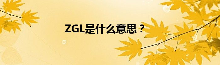 ZGL是什么意思？