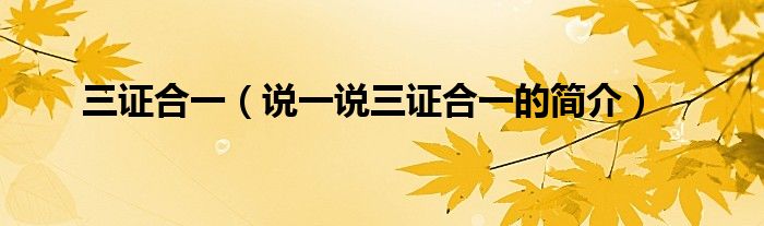三证合一【说一说三证合一的简介】