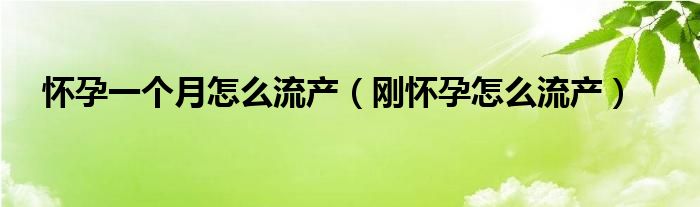 怀孕一个月怎么流产【刚怀孕怎么流产】