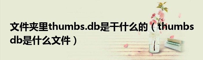 文件夹里thumbs.db是干什么的【thumbs db是什么文件】