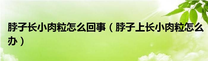 脖子长小肉粒怎么回事【脖子上长小肉粒怎么办】