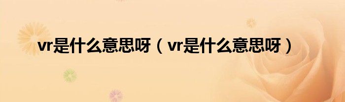 vr是什么意思呀【vr是什么意思呀】