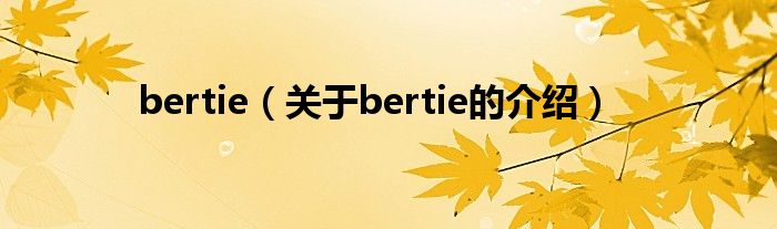 bertie【关于bertie的介绍】