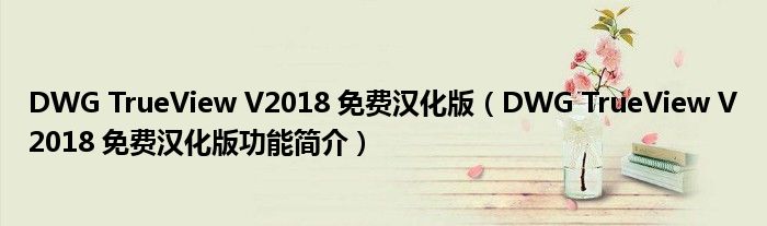 DWG TrueView V2018 免费汉化版【DWG TrueView V2018 免费汉化版功能简介】