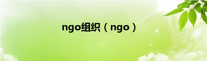 ngo组织【ngo】