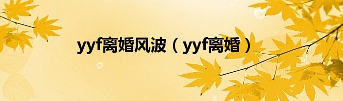 yyf离婚风波【yyf离婚】