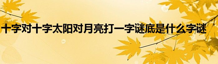 十字对十字太阳对月亮打一字谜底是什么字谜