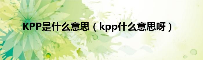 KPP是什么意思【kpp什么意思呀】