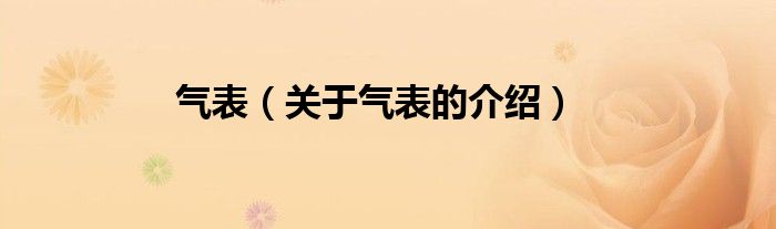 气表【关于气表的介绍】