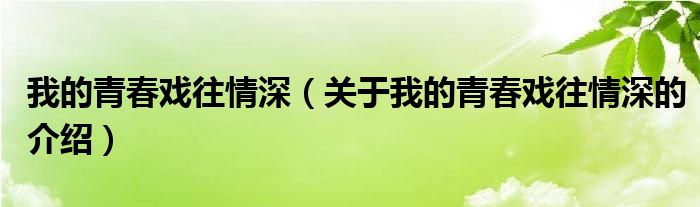 我的青春戏往情深【关于我的青春戏往情深的介绍】