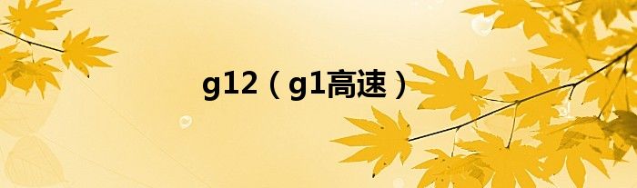 g12【g1高速】