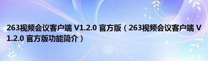 263视频会议客户端 V1.2.0 官方版【263视频会议客户端 V1.2.0 官方版功能简介】