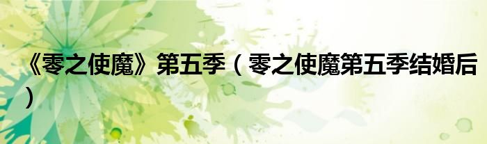 《零之使魔》第五季【零之使魔第五季结婚后】