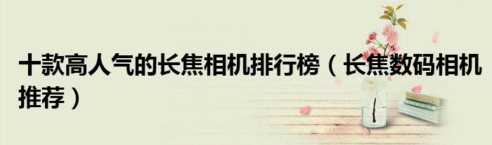 十款高人气的长焦相机排行榜【长焦数码相机推荐】