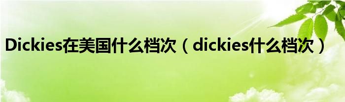 Dickies在美国什么档次【dickies什么档次】