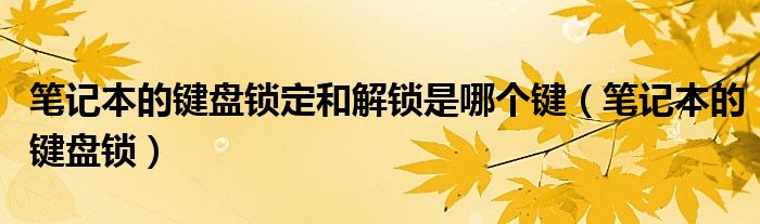 笔记本的键盘锁定和解锁是哪个键【笔记本的键盘锁】