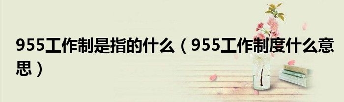 955工作制是指的什么【955工作制度什么意思】