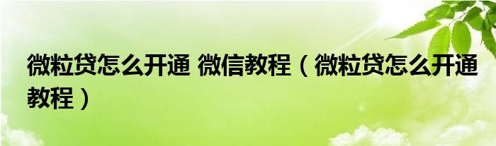 微粒贷怎么开通 微信教程【微粒贷怎么开通教程】