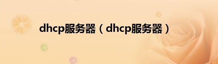 dhcp服务器【dhcp服务器】