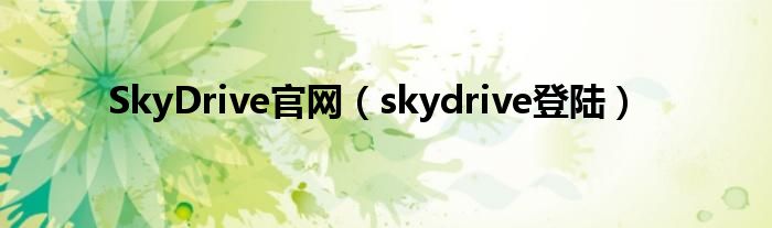 SkyDrive官网【skydrive登陆】