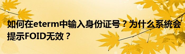 如何在eterm中输入身份证号？为什么系统会提示FOID无效？