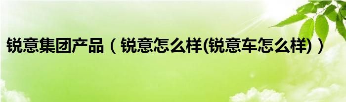 锐意集团产品【锐意怎么样(锐意车怎么样)】