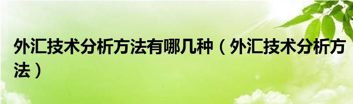 外汇技术分析方法有哪几种【外汇技术分析方法】