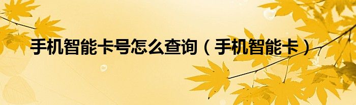 手机智能卡号怎么查询【手机智能卡】
