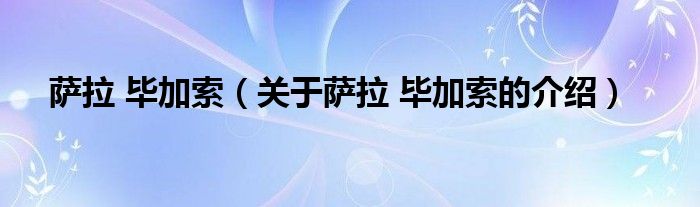 萨拉 毕加索【关于萨拉 毕加索的介绍】